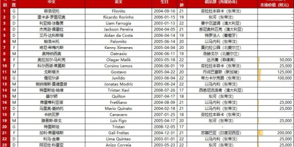 开云娱乐-U23亚洲杯预选赛参赛阵容：中国、澳大利亚、北马里亚纳及东帝汶队公布